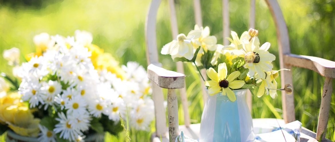 En mai, c'est le retour des fleurs au jardin