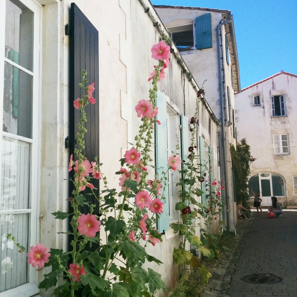 Ile de ré