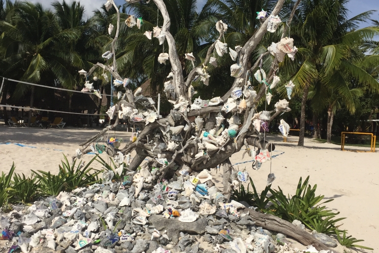 Arbes aux souvenirs, Cozumel