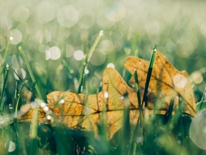 Raison n°2 d'aimer le mois de septembre : les premières couleurs de l'automne